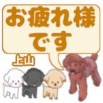 上山「うえやま」さんのトイプードル会話