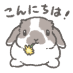 うさぎさんのおでかけ