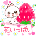 ❤️らぶうさ❤️花いっぱい❤️
