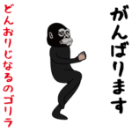 パリピなリアルゴリラ