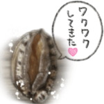 喋り出すアワビちゃん♡