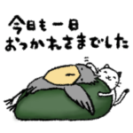 ほのぼのハシビロコウと猫/丁寧