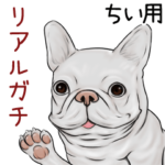 ちい用リアルガチなパグ＆ブルドッグ