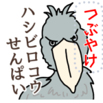 つぶやけハシビロコウ先輩