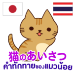 猫あいさつ タイ語日本語