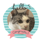 ９歳が作ったうちの猫サザエさん