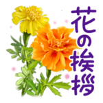 ★ずっと使える！丁寧なお花の挨拶スタンプ