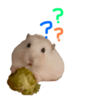 丸山さん家のおもちさんとよその子