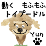 動くトイプードル"Yun"スタンプ