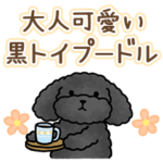 動く！大人可愛いトイプードル★黒★