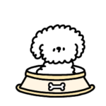 へんてこな白トイプードル