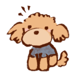 トイプードルのハル1.1