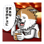 ブラックチョピナ修正版２