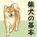 柴犬の基本スタンプ