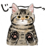 うちの子キジトラ！