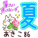 専用86<夏＆天気>