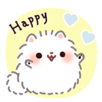 ポメラニアンもち 11