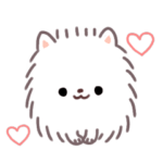 ポメラニアン もち