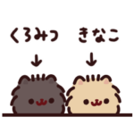 ポメラニアンきなことくろみつ