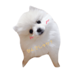 おもちのもっち♡