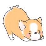 桃尻コーギーもちこと時々ポメズ 2