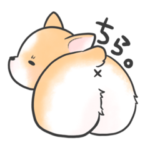 桃尻コーギーもちこと時々ポメズ