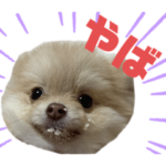 きなことおもち。