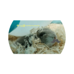 ラルクとおもちの可愛いスタンプ！