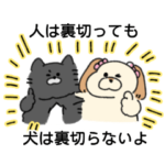 きなこもちとバン君