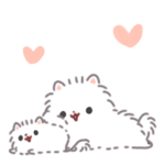 ポメラニアン もち 9