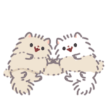 ポメラニアン もち 7