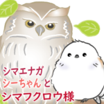 シマエナガ☆シーちゃんとシマフクロウ様