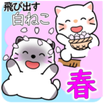 飛び出す白ねこ「春」