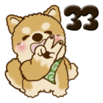 柴犬 ちゃちゃ丸 33『LOVE』
