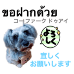 ももえタイ語スタンプ