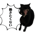 黒猫ちゃる