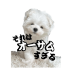 MAKE YOUR LIFE AWESOME!!