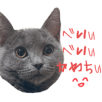 ぱおたんのごきげんスタンプ