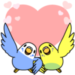 セキセイインコ「感謝感激せきせいいんこ」