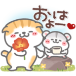 仲良し猫ハム2❤日常