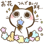 ちょこさん。～お花を飛ばす猫～春