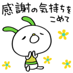 感謝☆コケうさ