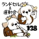 シーズー犬 138『小学生になりました』