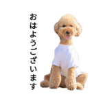 メールのスタンプ