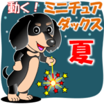 動く！ミニチュアダックス１０「夏」
