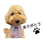 メールのスタンプ2