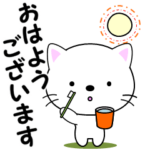 ちょっと動く！白にゃんこ