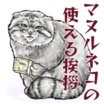 意外と使えるマヌルネコの基本の挨拶