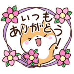 楽しい☆ちびシバ