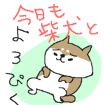 今日も柴犬と